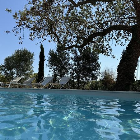 B&B Maison D'Hote Et Gite Mas D'Eymard Arles Bagian luar foto